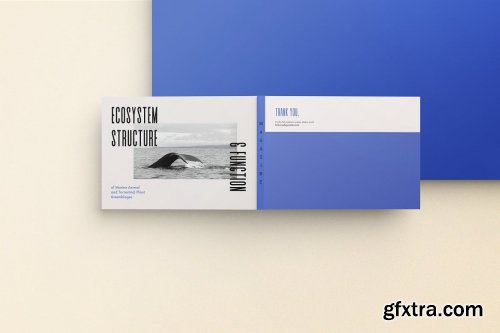 Landscape Book Mockups Vol2