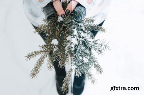 CreativeMarket - 4 Winter Lightroom Presets 5627706