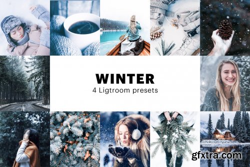 CreativeMarket - 4 Winter Lightroom Presets 5627706