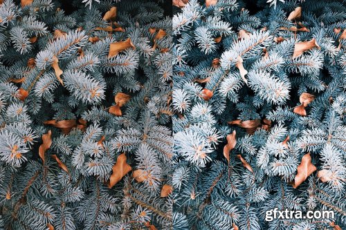 CreativeMarket - 4 Winter Lightroom Presets 5627706