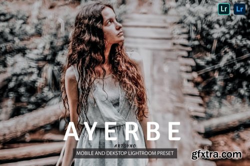 Ayerbe Lightroom Presets Dekstop and Mobile