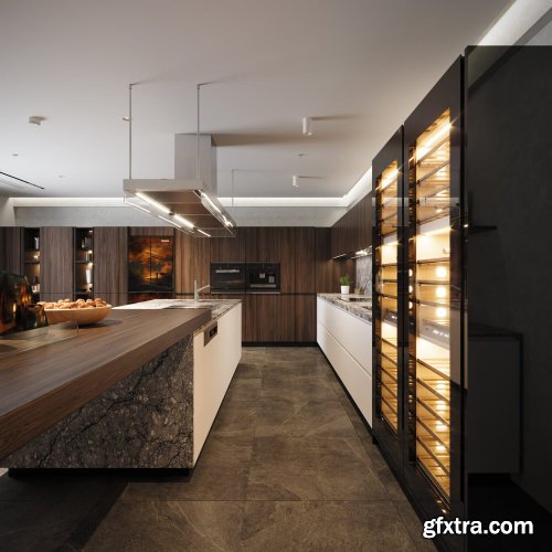 Kitchen Interior Model by Quang Hoa