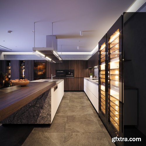 Kitchen Interior Model by Quang Hoa