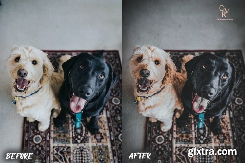 CreativeMarket - 8 Dogs Lightroom Presets 6278930