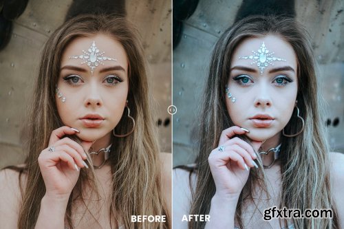 Cold Tones Action & Lightrom Presets