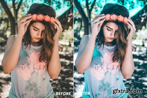 Cold Tones Action & Lightrom Presets