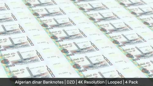 Videohive - Algeria Banknotes Money / Algerian dinar / Currency DA / DZD / 4 Pack - 4K - 34498902 - 34498902