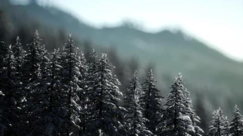 Videohive - Beautiful Winter Landscape in the Mountains - 34519554 - 34519554