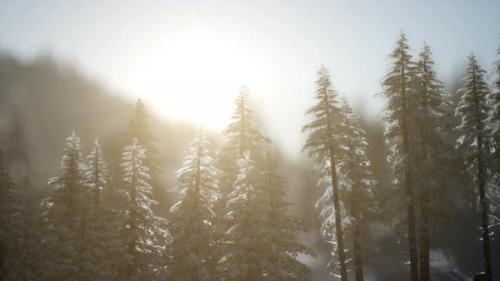 Videohive - Dramatic Winter Sunrise in the Mountains - 34519571 - 34519571