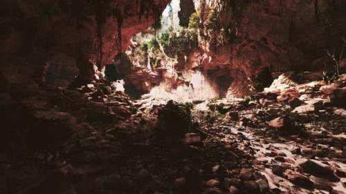 Videohive - Large Fairy Rocky Cave with Green Plants - 34519670 - 34519670