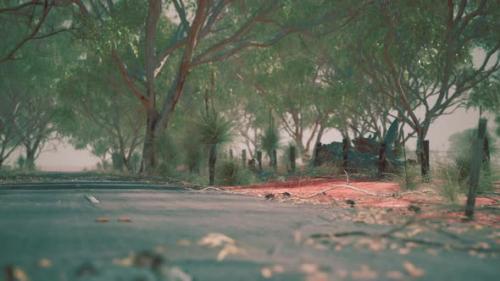 Videohive - Open Road in Australia with Bush Trees - 34519677 - 34519677