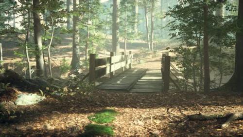 Videohive - Old Wooden Bridge Over a Small Stream in a Park - 34519684 - 34519684