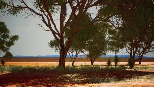 Videohive - Dry African Savannah with Trees - 34519725 - 34519725