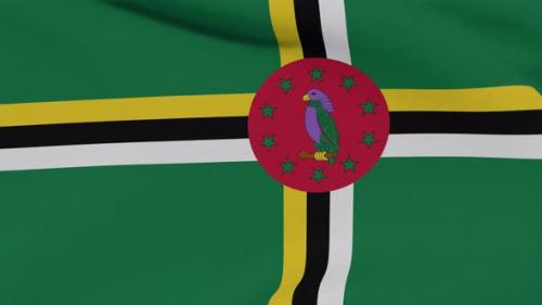 Videohive - Flag Dominica Patriotism National Freedom Seamless Loop - 34507193 - 34507193