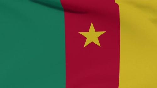 Videohive - Flag Cameroon Patriotism National Freedom Seamless Loop - 34507467 - 34507467