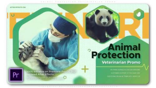 Videohive - Animal Protection Veterinarian Promo - 34511160 - 34511160