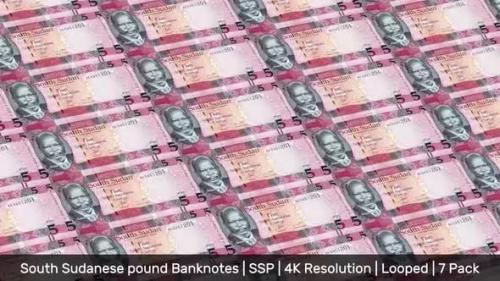 Videohive - Sudan, South Banknotes Money / South Sudanese pound / Currency SS£ / SSP/ | 7 Pack | - 4K - 34521983 - 34521983