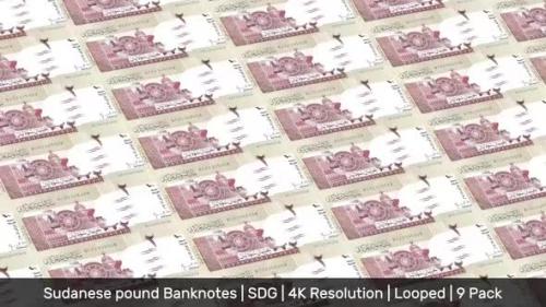 Videohive - Sudan Banknotes Money / Sudanese pound / Currency ج.س. / SDG/ | 9 Pack | - 4K - 34521986 - 34521986