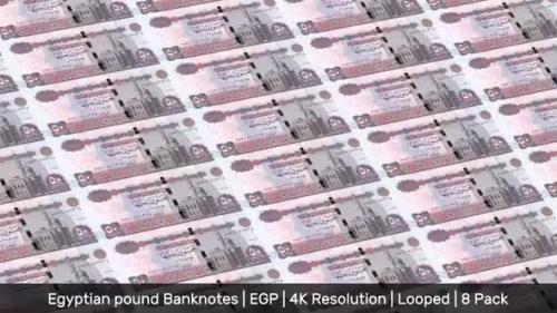 Videohive - Egypt Banknotes Money / Egyptian pound / Currency £ / EGP/ | 8 Pack | - 4K - 34521992 - 34521992