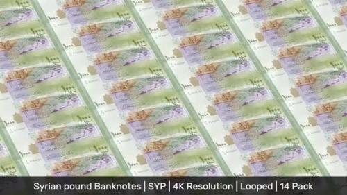 Videohive - Syria Banknotes Money / Syrian pound / Currency £ or ل.س / SYP/ | 14 Pack | - 4K - 34522004 - 34522004