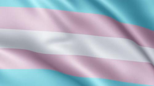 Videohive - Flag of Transgender Pride | UHD | 60fps - 34522702 - 34522702