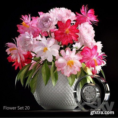 FLOWER SET 20 3d Model