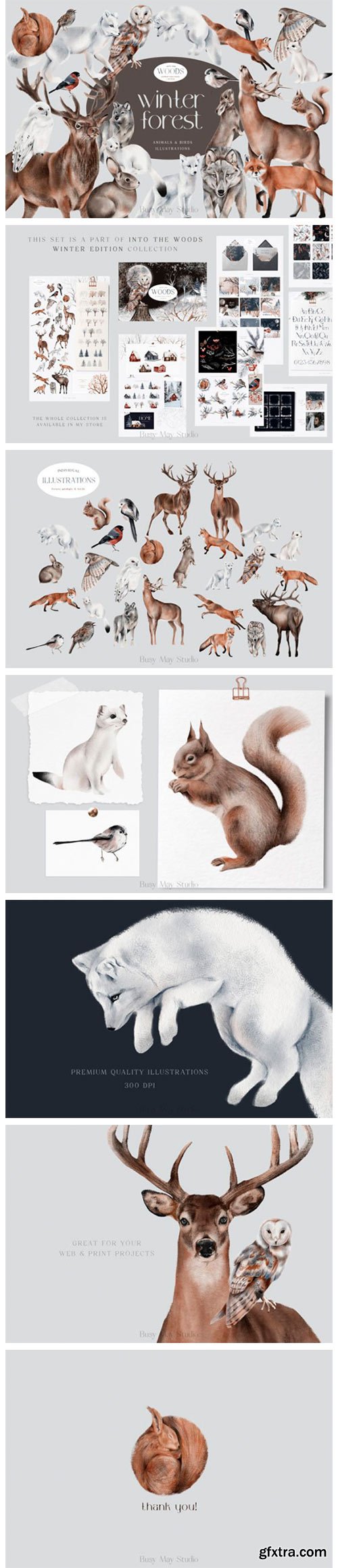 Winter Forest Animals and Birds PNG 18762380