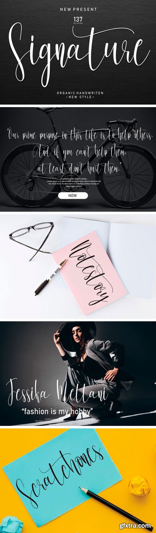 Signature Script Font