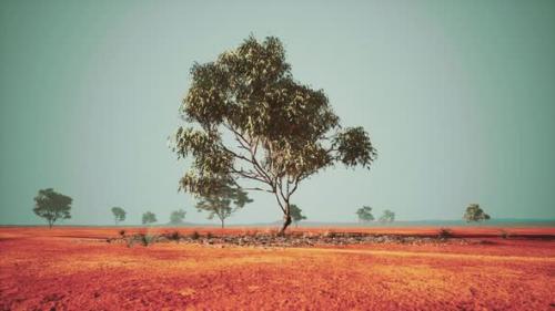 Videohive - Dry African Savannah with Trees - 34612078 - 34612078