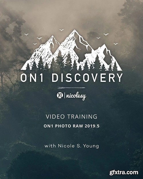 ON1 Discovery — Video Training