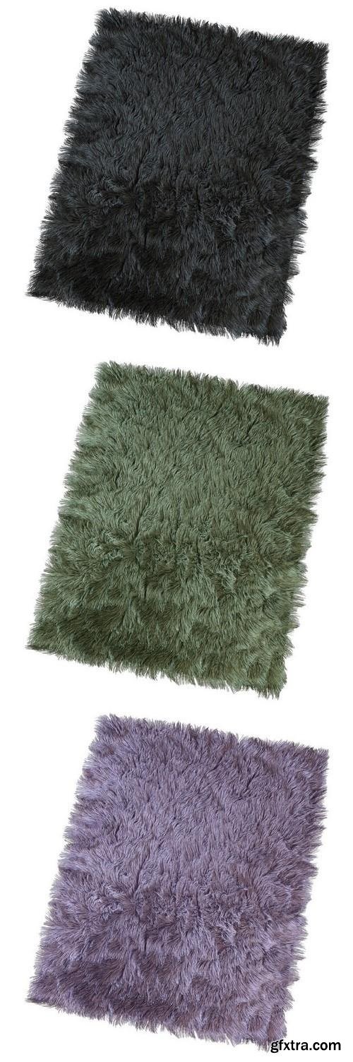 Carpet with long pile 3d Model