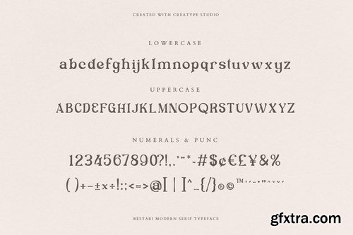 Bestari Serif Business Font Font