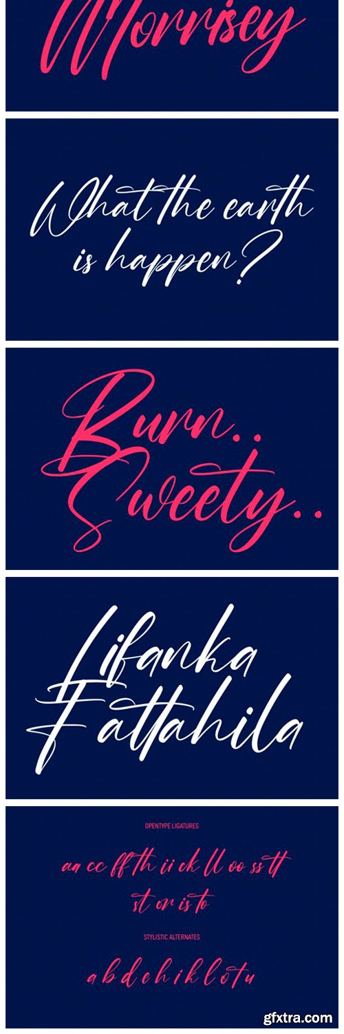 Roche Shirt Script Font