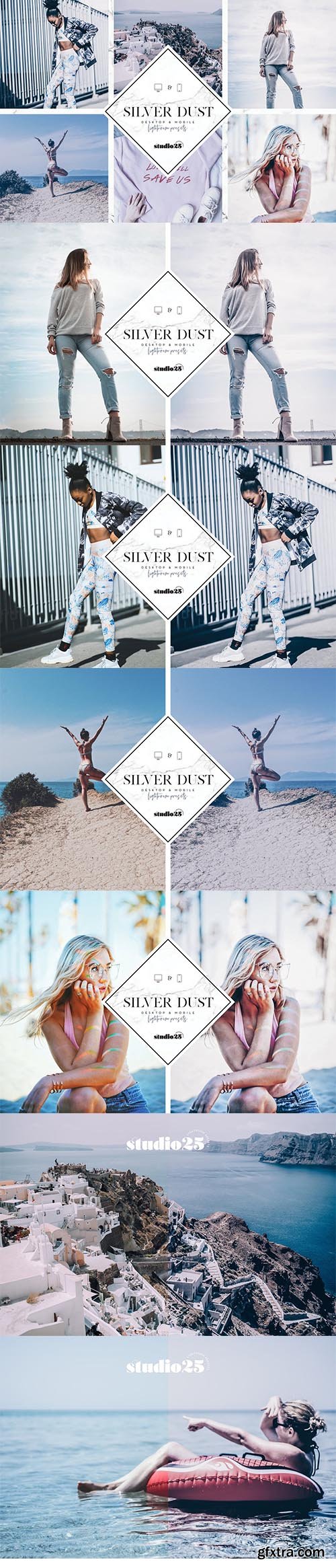 CreativeMarket - 2 Silver lightroom presets 4007319