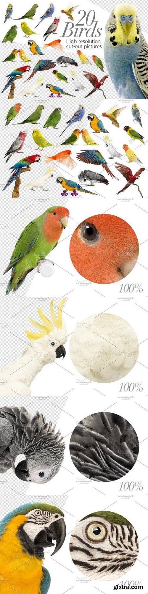 CM - 20 Birds - Cut-out High Res Pictures 1353076