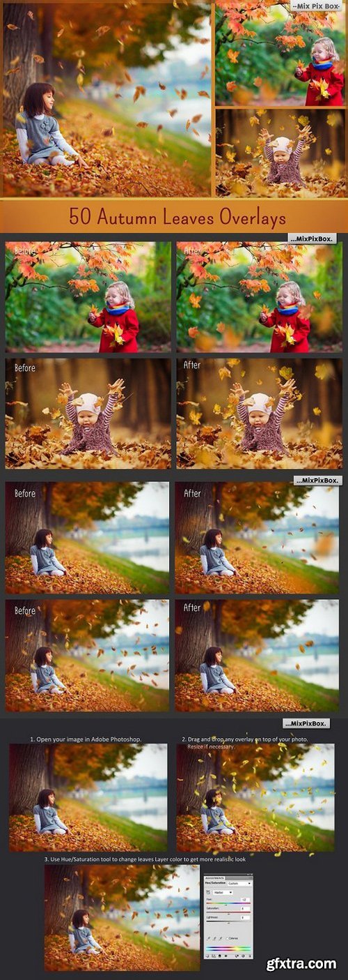 CM - 50 Autumn Leaves Overlays 982871