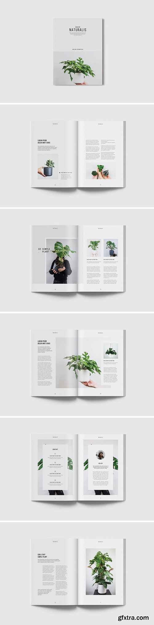 Indesign Magazine Template