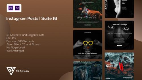 Videohive - Instagram Posts | Clean Landing Intro | Suite 16 | MOGRT - 34663214 - 34663214