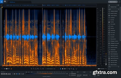 iZotope RX Pro for Music v9.1.0