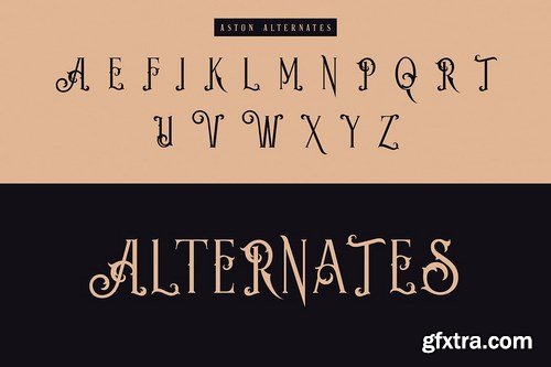 Aston - Vintage Serif Font