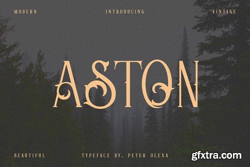 Aston - Vintage Serif Font