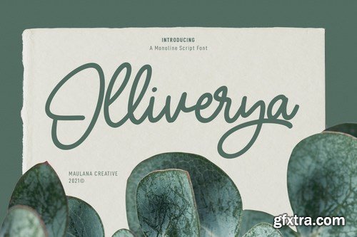 Olliverya Monoline Script Font