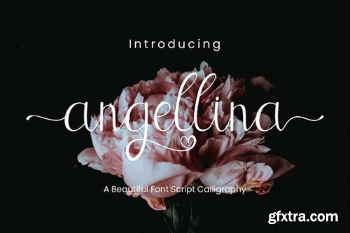 Angellina Calligraphy Font