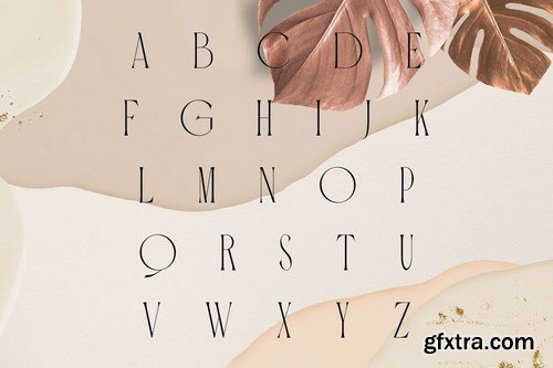 Carola  Modern Serif