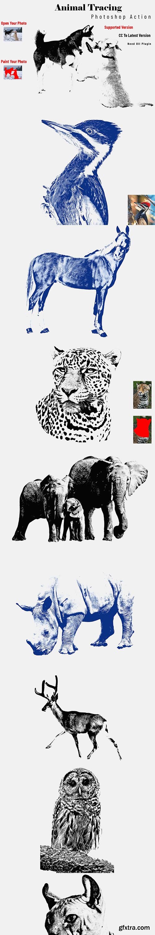 CreativeMarket - Animal Tracing Photoshop Action 6647974