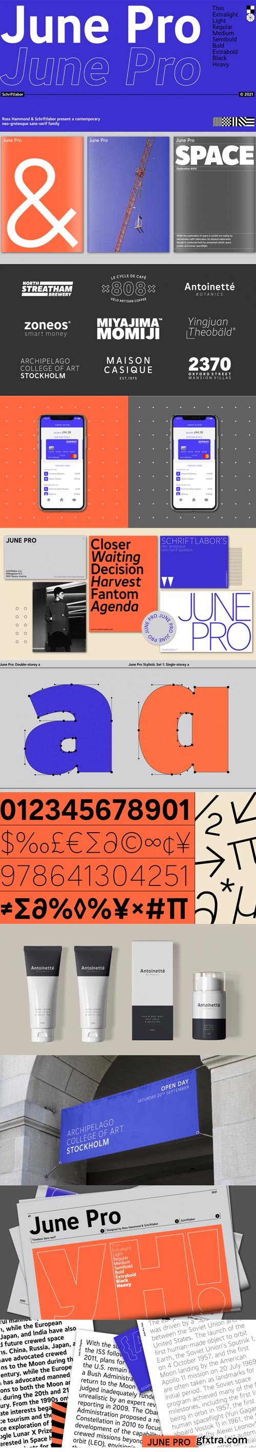 June Pro Font Family