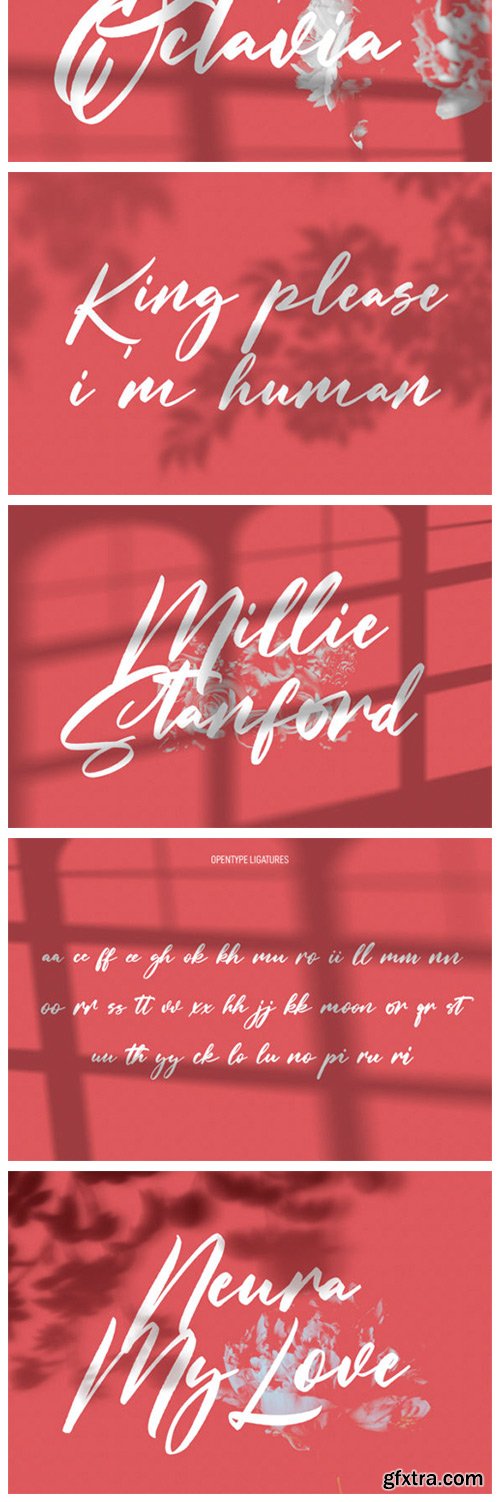 Lillyfleurs Signature Font