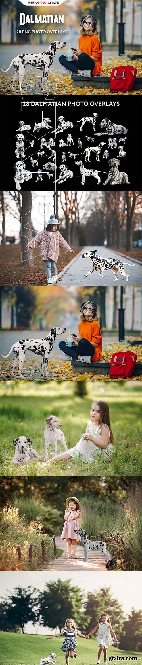 CreativeMarket - 28 Dalmatian Photo Overlays 6652850