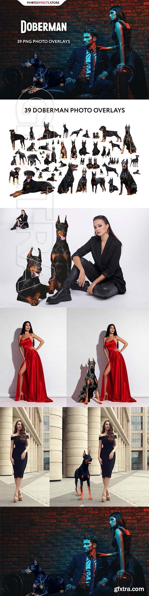 CreativeMarket - 39 Doberman Photo Overlays 6652849