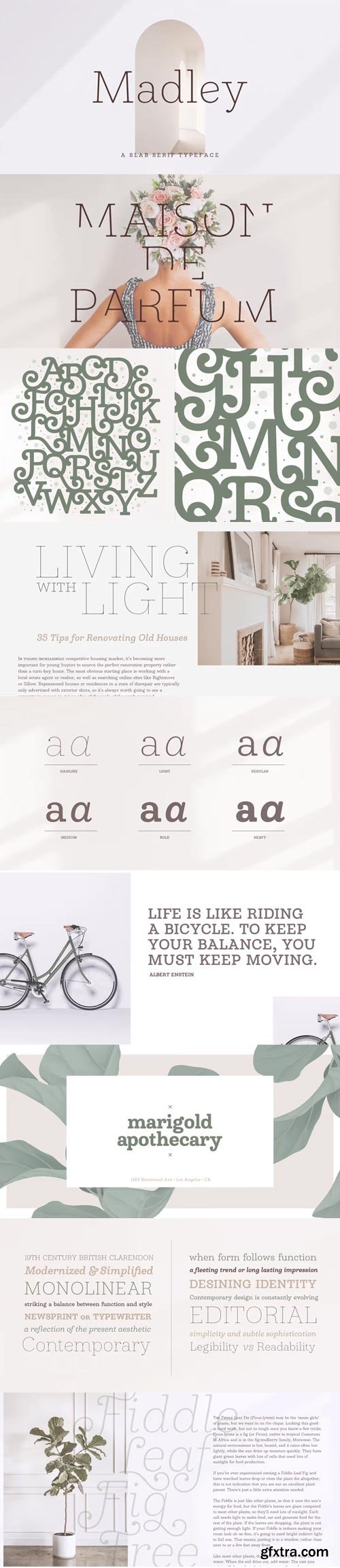 Madley Font Family